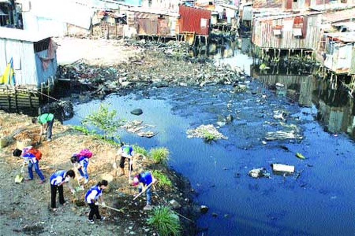 HCM City turns squalid canals into green spots - 5