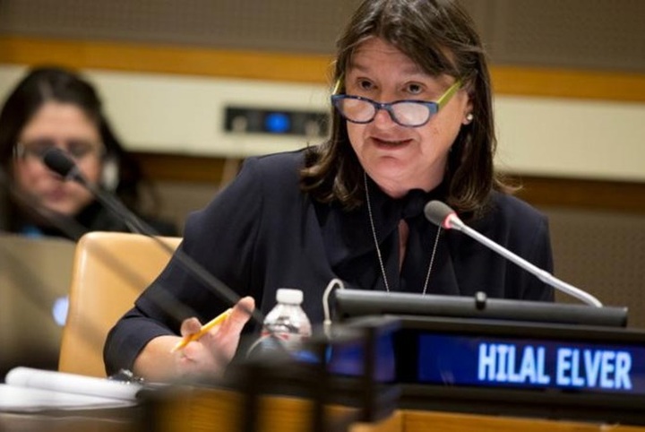 UN expert to assess food security in Vietnam - 1