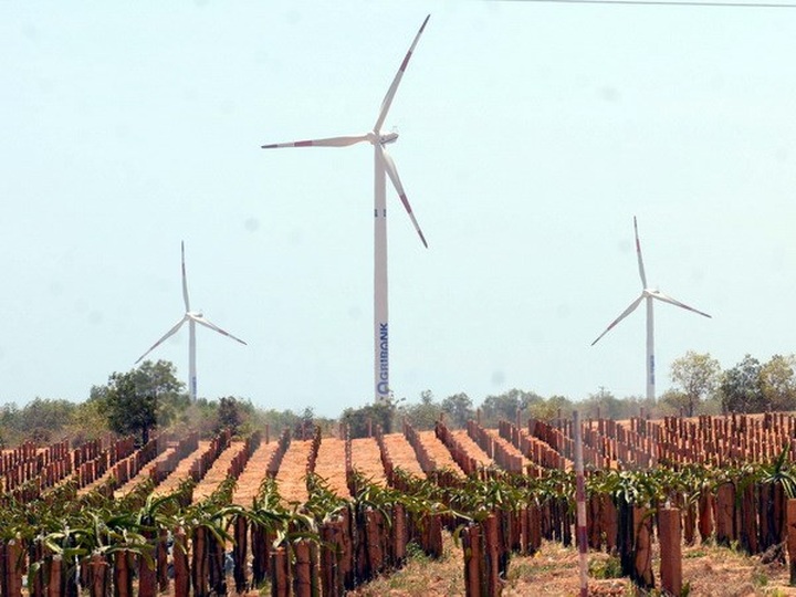 Vietnam, US examine smart solutions to develop clean energy - 1