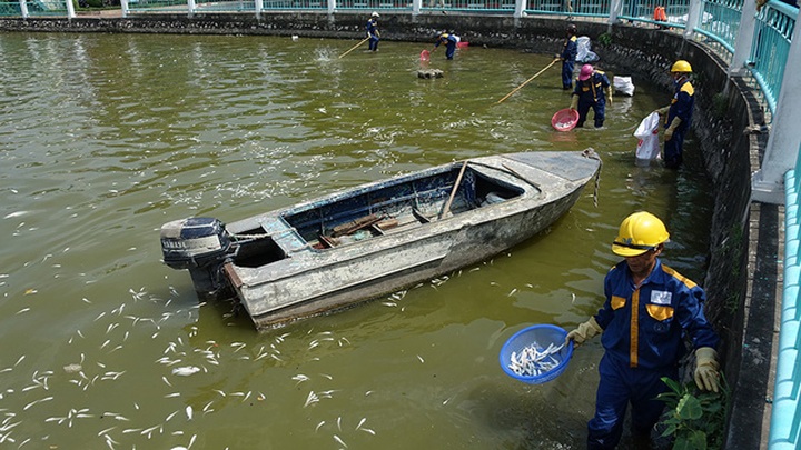 West Lake dead fish toll reaches 200 tonnes - 1 West Lake dead fish toll reaches 200 tonnes - 1