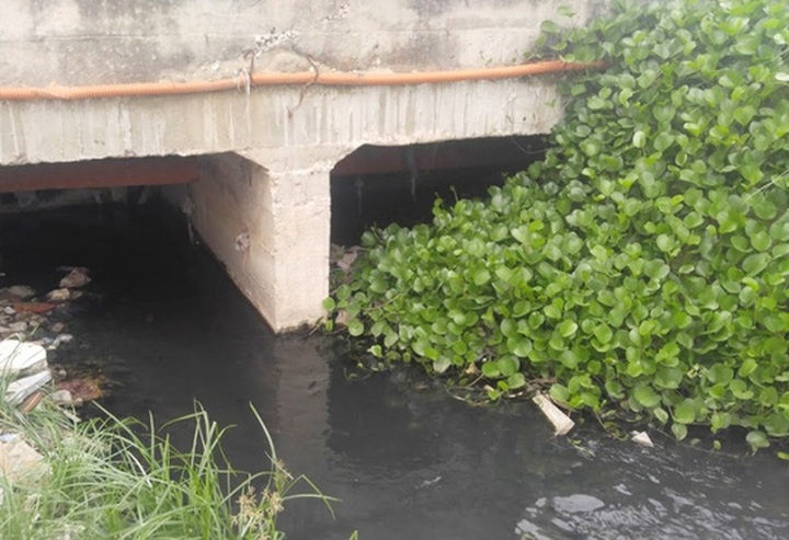 Sewage pollutes Sam Son Beach - 1