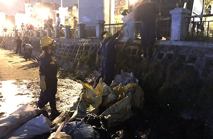 Tonnes of fish found dead in Hanoi lake - 2 Tonnes of fish found dead in Hanoi lake - 2
