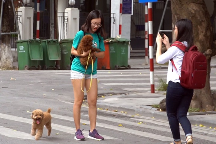 Unmuzzled dogs still found on Hanoi pedestrian streets - 1