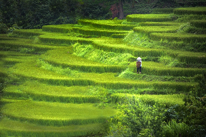 Beautiful Vietnam through American tourist’s lens - 1