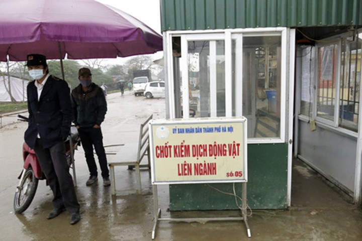 Bird flu scare prompts tighter restrictions - 1 Bird flu scare prompts tighter restrictions - 1