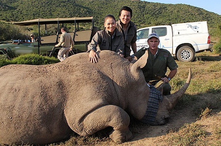 Vietnamese pop stars to help save rhinos - 1