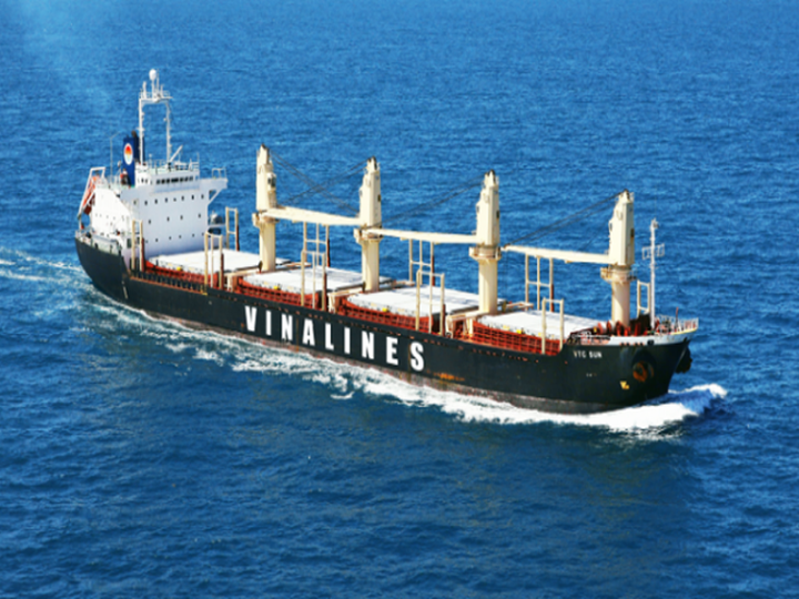 Vinalines faces losses on eve of equitisation - 1