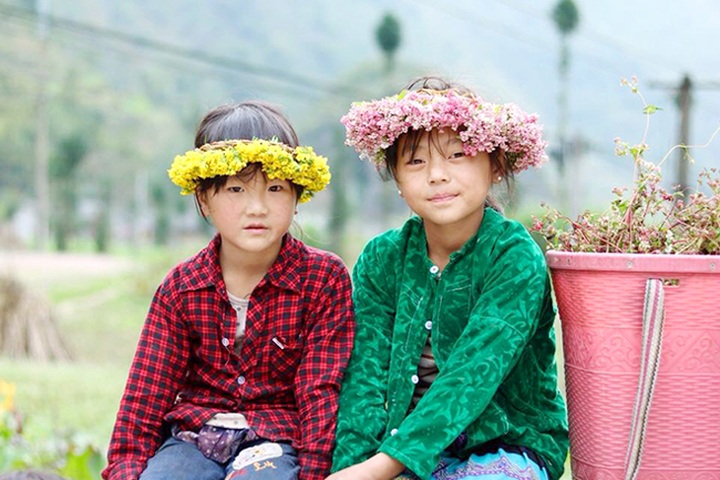 Buckwheat flowers bloom in Ha Giang - 6