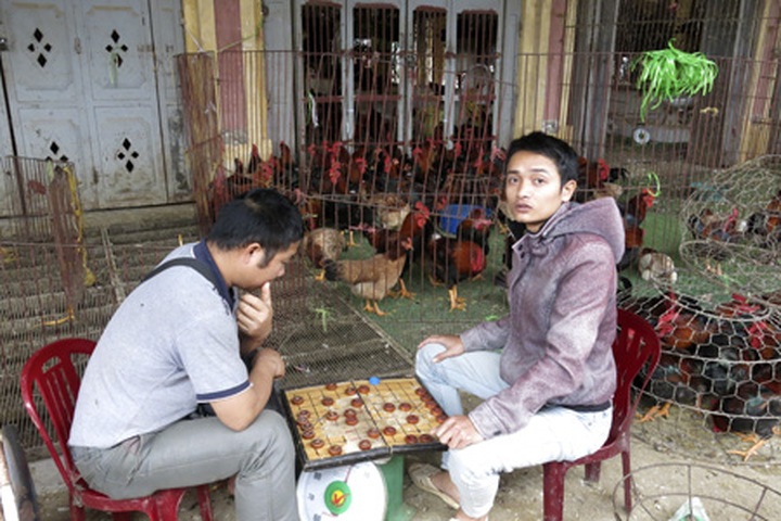 Bird flu scare prompts tighter restrictions - 9 Bird flu scare prompts tighter restrictions - 9