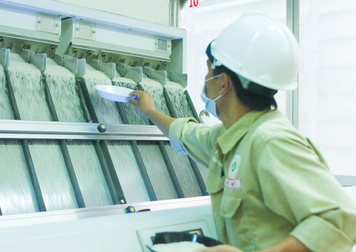 China remains Vietnam's top rice importer - 1