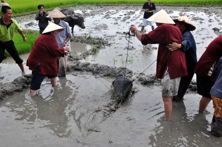 Farmers in Hoi An reap good harvest from tourists - 1