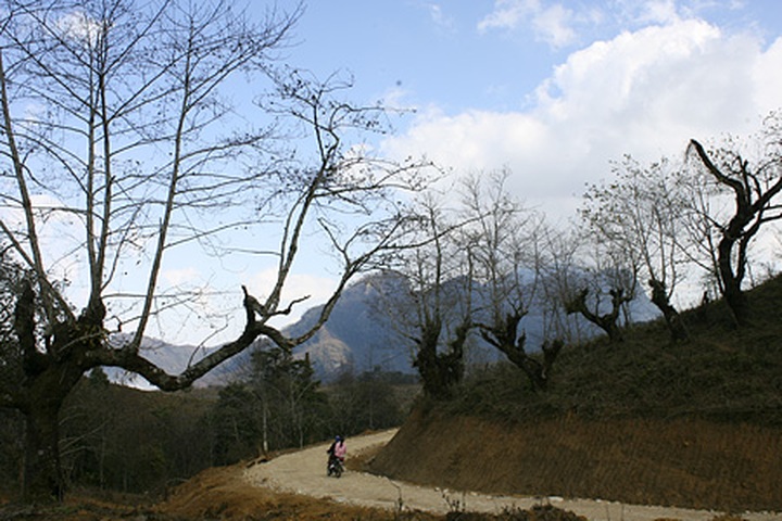 Y Ty "cloud nine" for Valentine visitors - 10