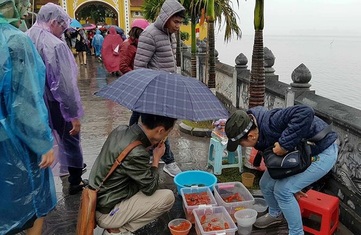 Released fish, turtles caught for sales again in front of Hanoi pagoda - 2 Released fish, turtles caught for sales again in front of Hanoi pagoda - 2