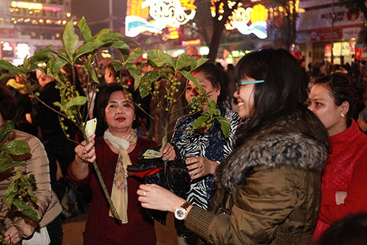 Firework displays welcome the Year of the Goat - 10