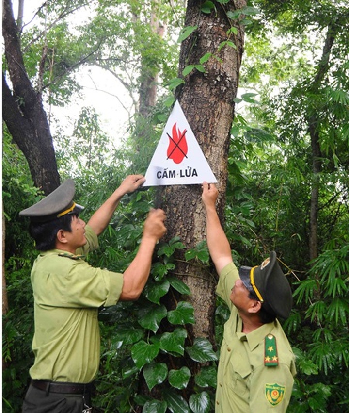 19 localities put on forest-fire alert - 1