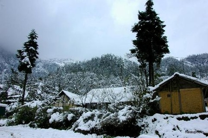 Cold spell hits life in Ha Giang province - 2