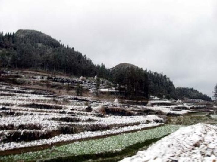 Cold spell hits life in Ha Giang province - 3
