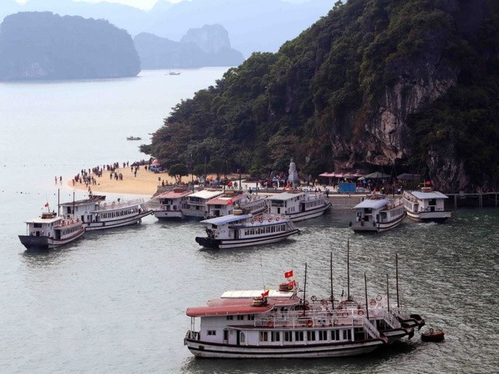 Chemical plant turned down due to Ha Long Bay environmental risks - 1