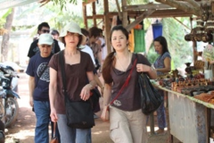 For locals, foreign trips cheaper than Vietnam tours - 1