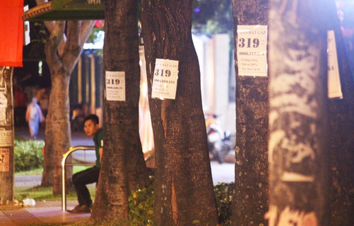 HCM City plastered in illegal advertising - 5 HCM City plastered in illegal advertising - 5