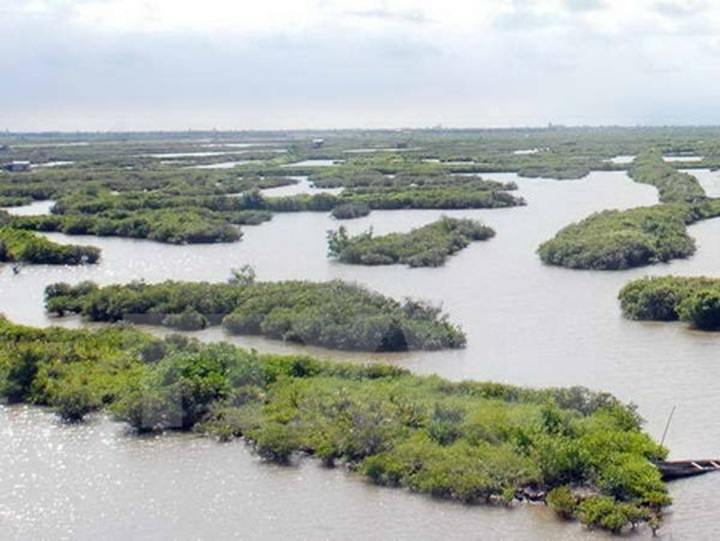 National biodiversity database takes shape - 1