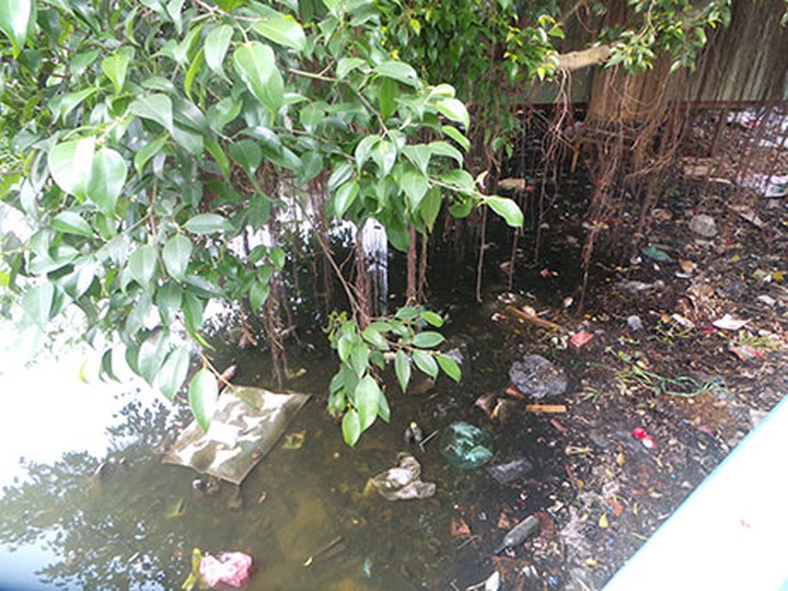 Proliferation of restaurants around West Lake causes pollution - 7 Proliferation of restaurants around West Lake causes pollution - 7