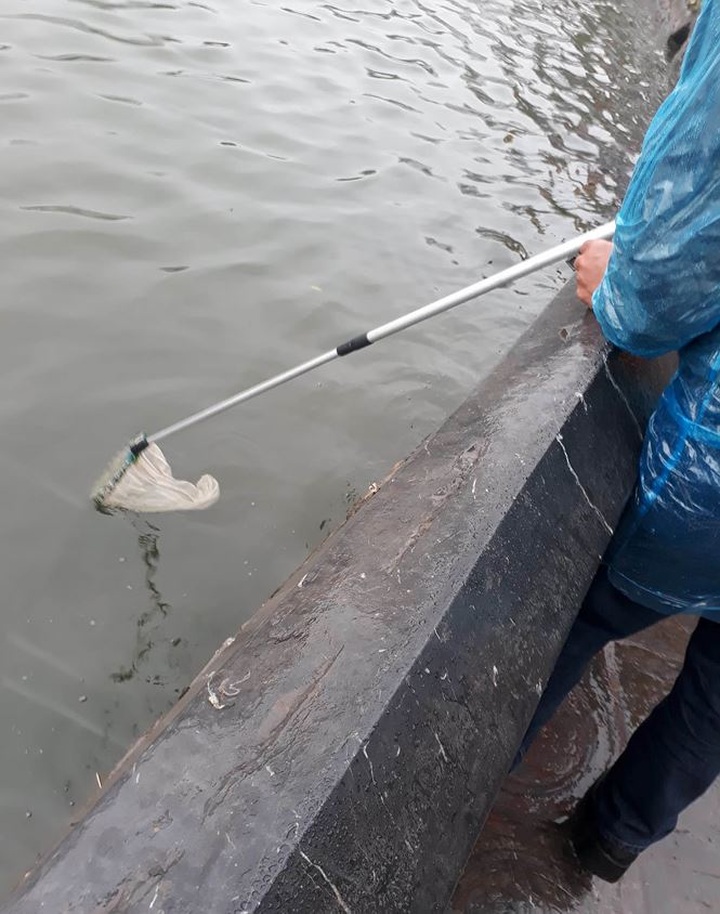Released fish, turtles caught for sales again in front of Hanoi pagoda - 4 Released fish, turtles caught for sales again in front of Hanoi pagoda - 4