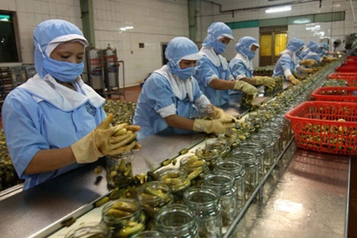 Steering committee to oversee farm exports - 1