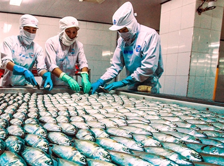 Vietnam seafood exports to benefit from TPP - 1
