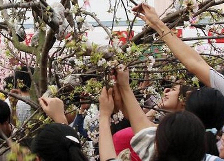 Experts raise concerns over youth behaviour - 1 Experts raise concerns over youth behaviour - 1