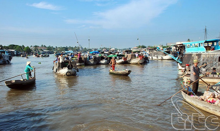 Can Tho to host Cai Rang Floating Market Festival - 1