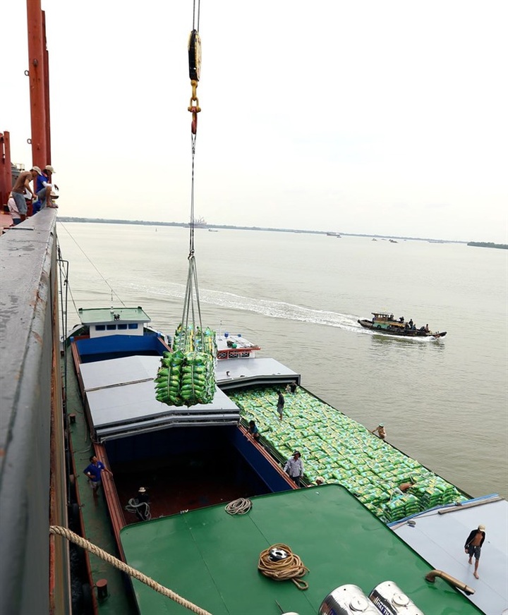 More Middle East, Africa trade urged - 1