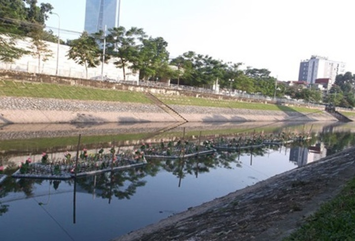 Aquatic rafts aim to clean Hanoi river - 1