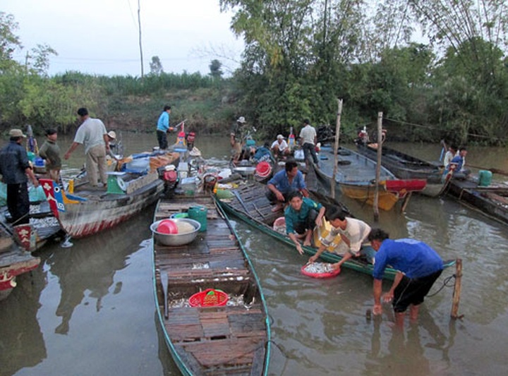 Mekong Delta awaits floods - 1