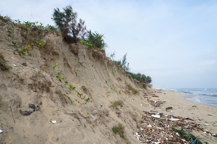 Erosion threatens Cua Dai Beach - 2