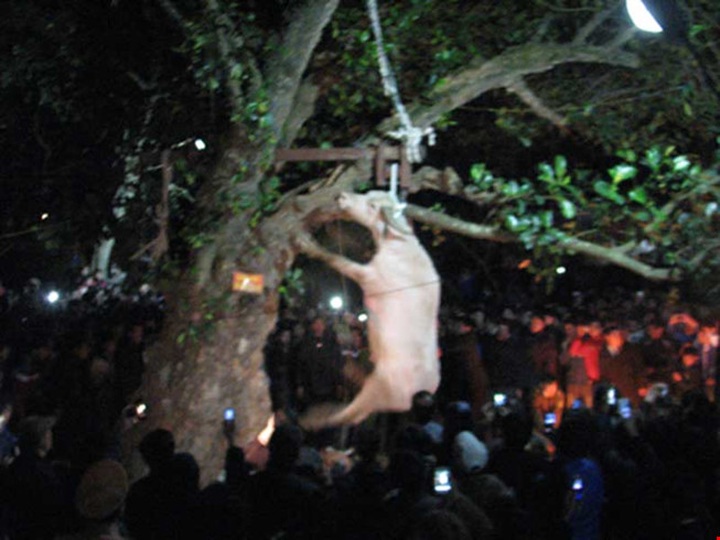 Cruel traditional ceremonies criticised - 1 Cruel traditional ceremonies criticised - 1