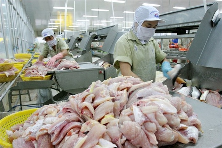 Vietnamese catfish exporters gear up for US inspections - 1