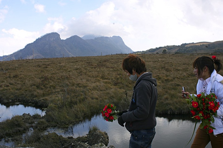 Y Ty "cloud nine" for Valentine visitors - 14