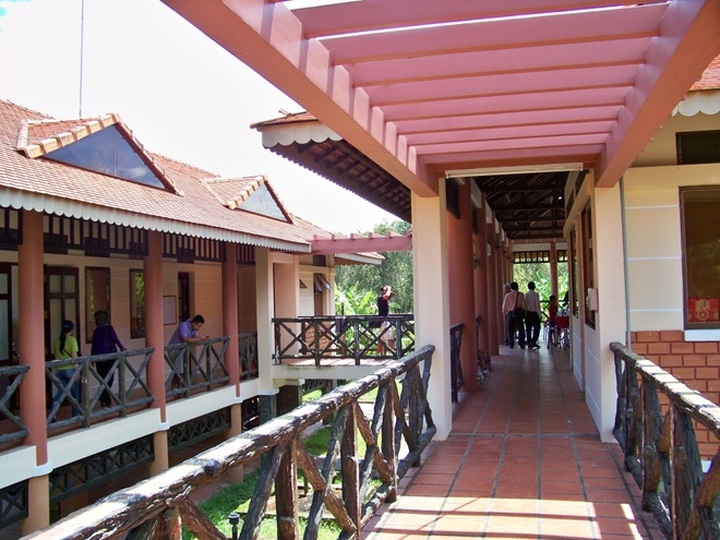 The longest path through the melaleuca forest of Vietnam - 11