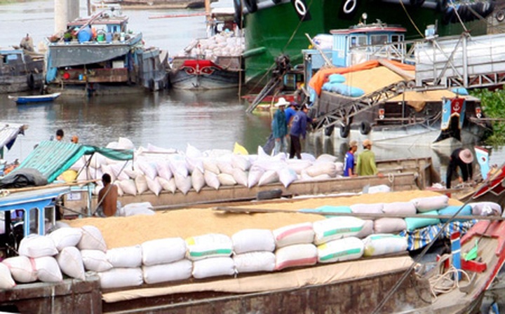 World rice price slump hits exporters - 1
