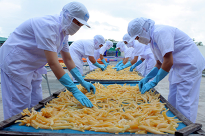 Seafood exports to surf past $6 billion this year - 1