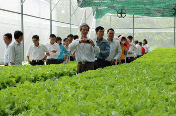 500 workers to go to Japan to study agriculture skills - 1