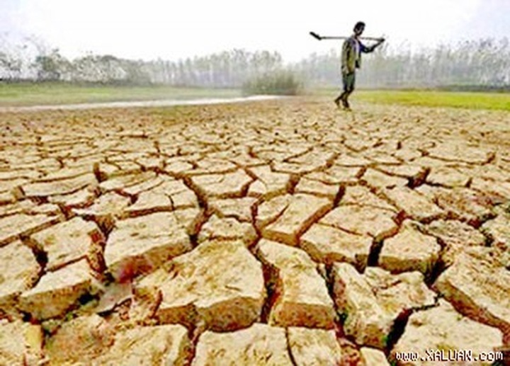 Seminar seeks to improve water management in Ninh Thuan - 1