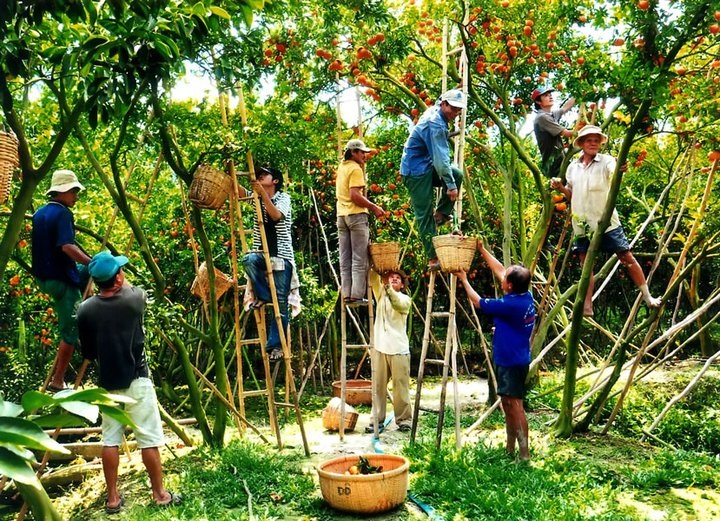 Green growth in Mekong region discussed in Hanoi - 1