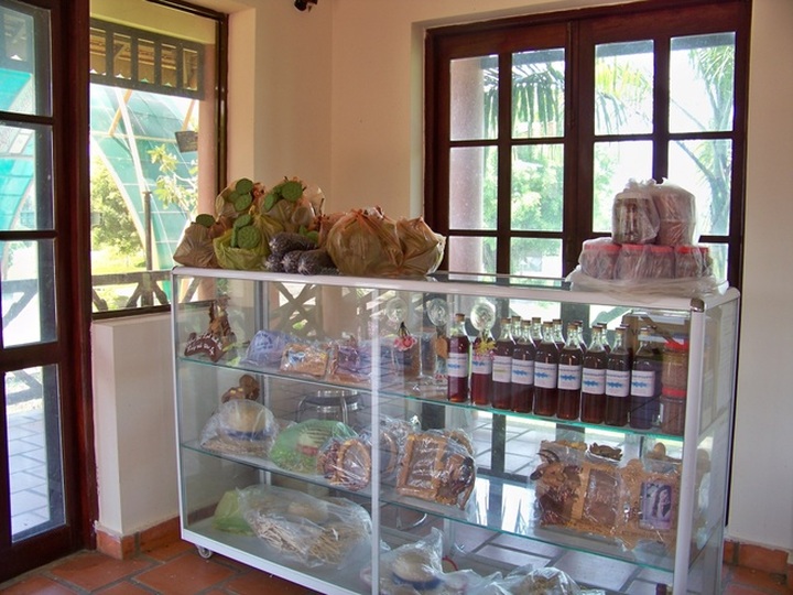 The longest path through the melaleuca forest of Vietnam - 12