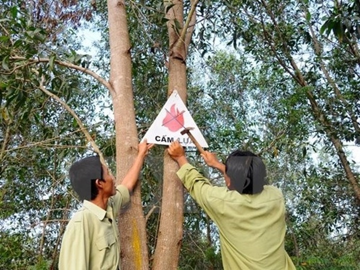 Six provinces declare top forest fire risk alert - 1 Six provinces declare top forest fire risk alert - 1