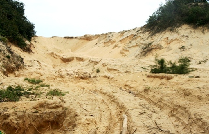 Illegal sand exploitation damages world recognised Lang Co Bay - 1