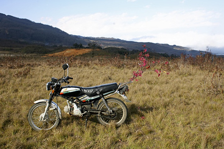 Y Ty "cloud nine" for Valentine visitors - 16