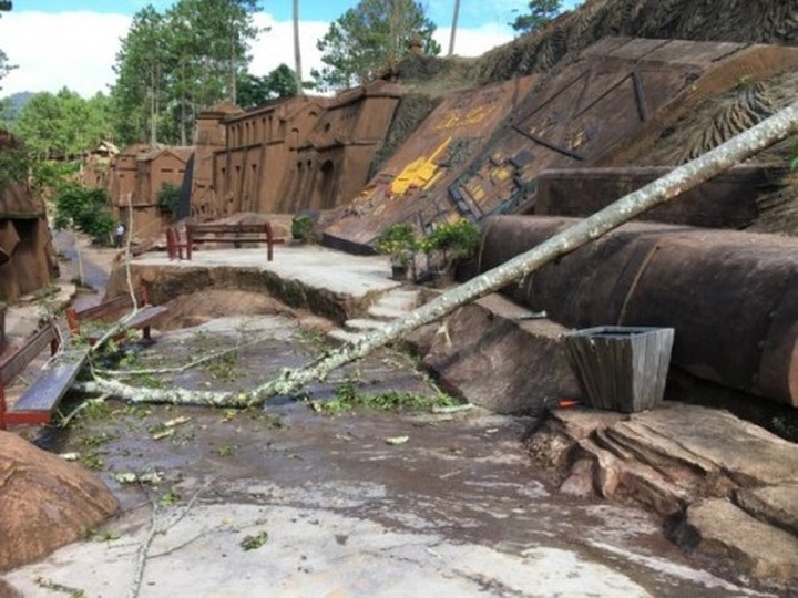 Tourist killed by falling tree at Dalat clay tunnel - 1