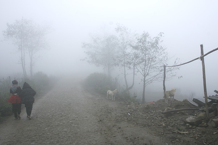 Y Ty "cloud nine" for Valentine visitors - 2